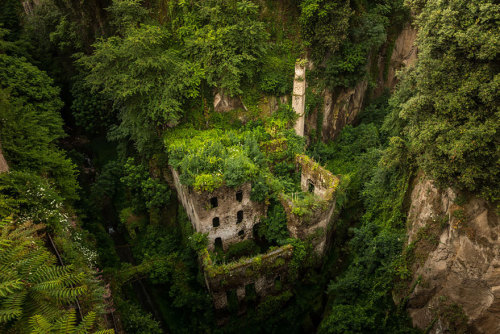 congenitaldisease: This abandoned mill is located in  a deep canyon in Sorrento, Southern Italy. Th