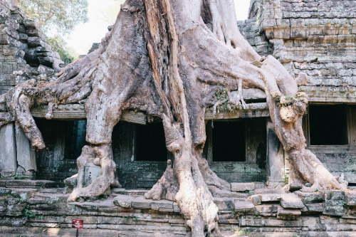 Preah Khan