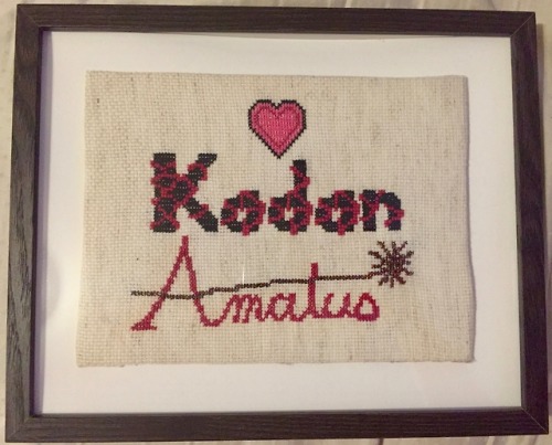 I made a Dragon Age cross-stitch. :-DIt’s not fully visible, but the line and starburst in “Amatus” 