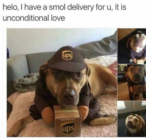 ups-official: larkspurandpeony: cheesygorditocrunch: I accept @ups-official O_O My best employee