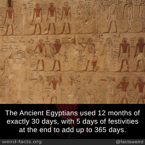 Porn Pics mindblowingfactz:The Ancient Egyptians used