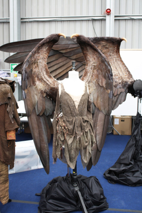 key-feathers:  Practical wings created as a starting point for the CGI ones on Maleficent!  I want to try and create a pair of wings of this size (personal project ;) ) These photos are a great inspiration! Source: http://disney.wikia.com/   wait wait