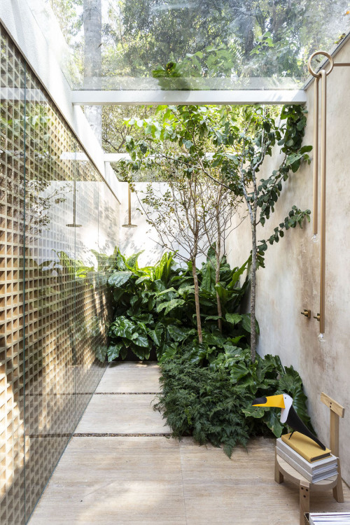 Brilliant Brazilian Houses Centered Around Trees