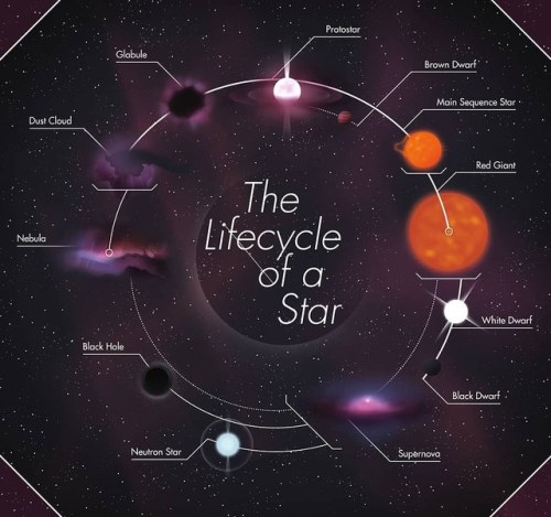 spaceexp:The Lifecycle of a star. via reddit