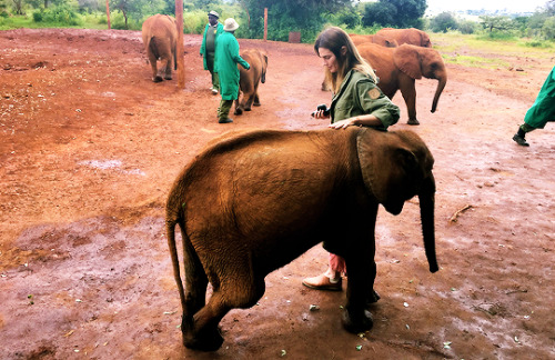 katebeckett:drstanakatic: Luggard surprised me by saying hello as I was trying to take a photo of on