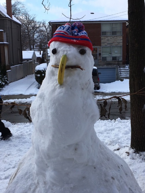 elasticitymudflap:please look at this fucking snowman my little brother and his friends made