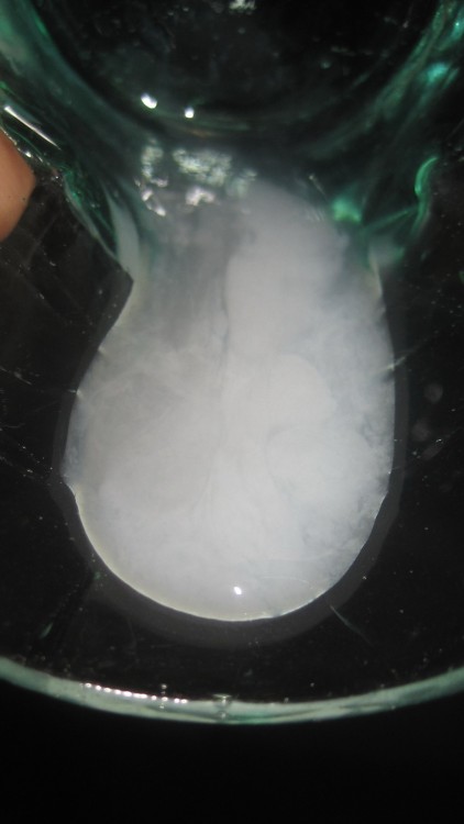 jockpig19:  massivelyzealousshooter:  howbig8:What a beautiful collection of cum The perfect collection   Makes me drool