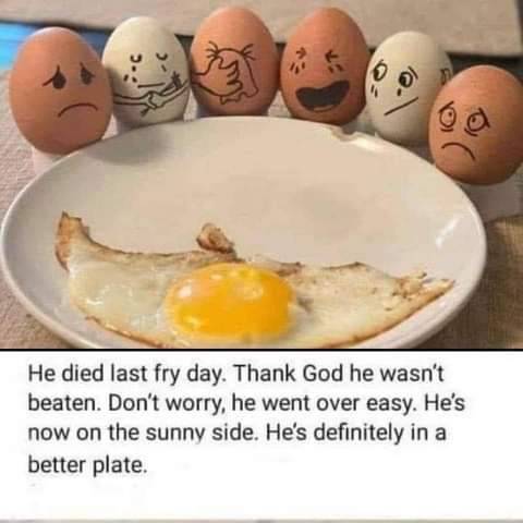 eggs-on-post - Egg egg egg egg egg egg egg egg egg egg egg