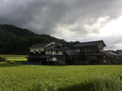 Fukui houses