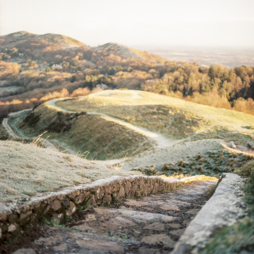 danfreemanphoto:The PathHasselblad 500c/mPortra 400 film