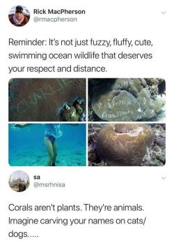 bogleech:It never even crossed my mind before that people would do this!?! It’s actually worse than carving into one animal. Each coral is made up of thousands of tiny animals in one colony. Hundreds of individuals are killed for every slice here.Let’s