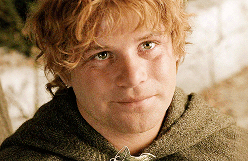 As Cold As Ice (Sam Gamgee X F Hobbit! Reader)