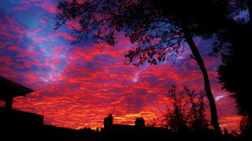 Oxford, England. Incredible sunset!