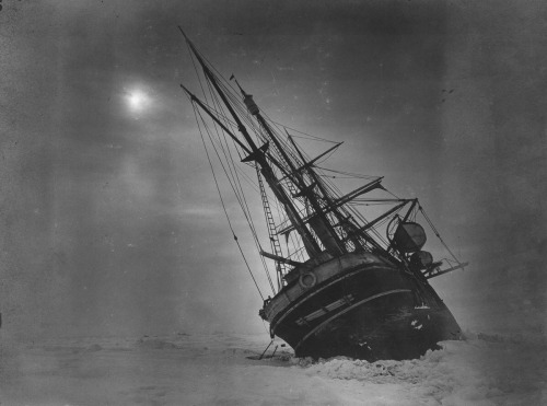 camerafilia:Endurance lists as she is squeezed by shifting ice.IMAGE: FRANK HURLEY/SCOTT POLAR RESEA