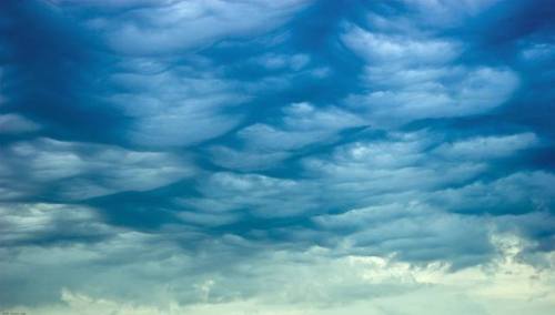 Scaly sky.An unusual cloud pattern resembling reptilian skin snapped over the Bristol Channel of the