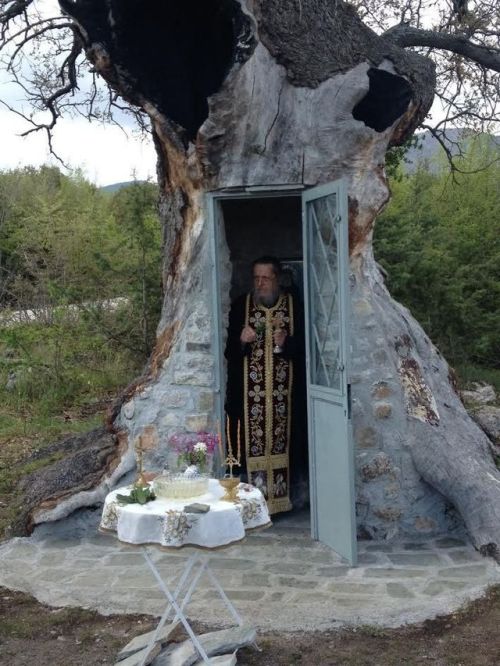 gemsofgreece:tryingtocopia:gemsofgreece:Oak tree chapel in the Village of Agia Varvara. In Greece yo