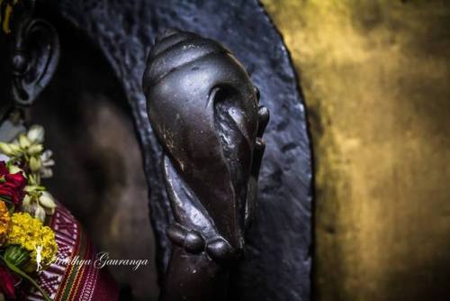 Bindu Madhava, Vishnu deity from Varanasi, photos by Aradhya Gouranga