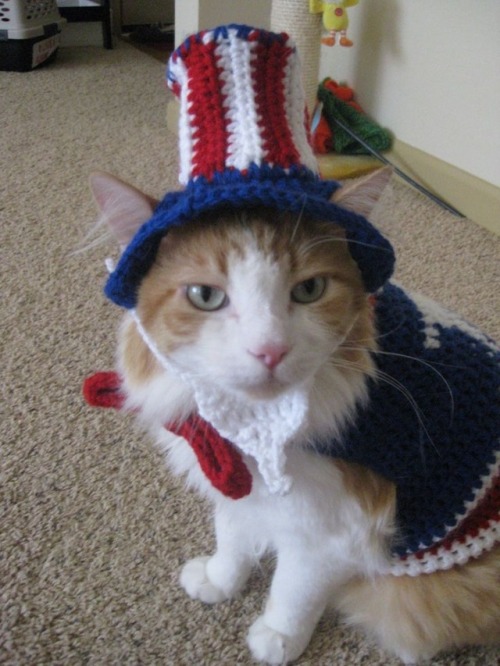 coolcatgroup: Happy 4th of July everyone!! I hope y'all have a good and safe one!!