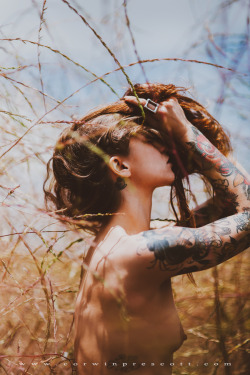 corwinprescott:    “Into The Wild”San