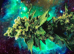 incognitox420:  Let’s Get Galactically High Together.