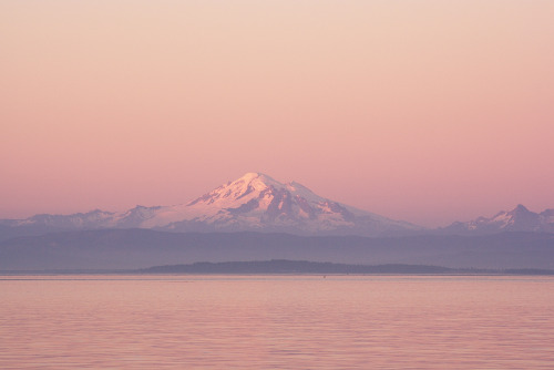 Porn photo softwaring: Mt Baker at sunset from the west,