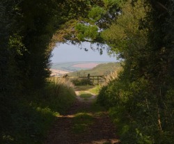 llovinghome: Tree tunnel