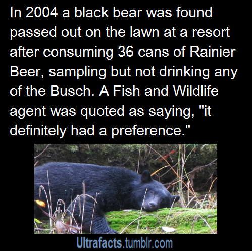 ultrafacts:  Source (Want more facts? Click HERE to follow)