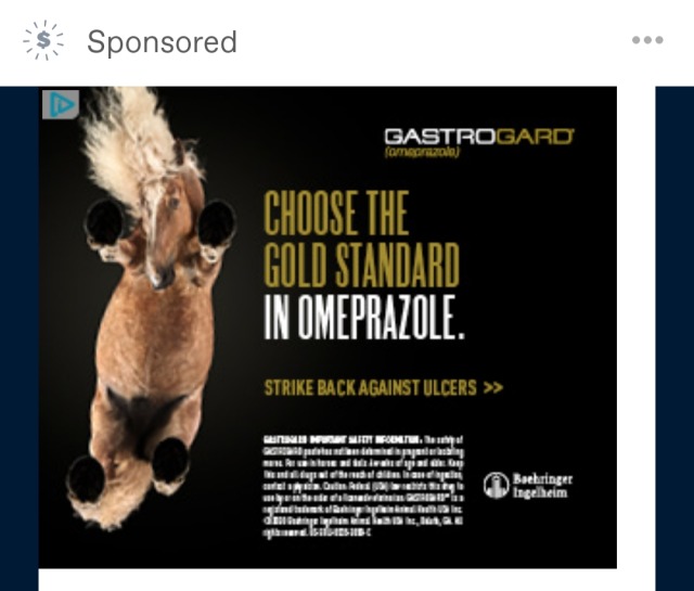 Glitchy Tumblr ad with an unexplained picture of a horse falling through a black void. Text transcript: "GastroGard (omeprazole) Choose the gold standard in omeprazole. Strike back against ulcers. [illegibly-tiny legal disclaimers and logo]"