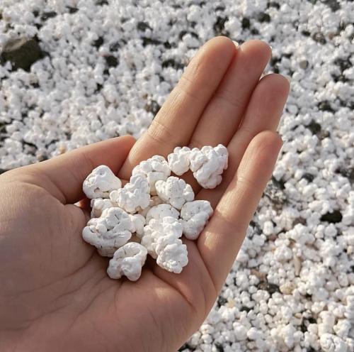 Yo you gotta come to this beach there’s free popcorn everywhere