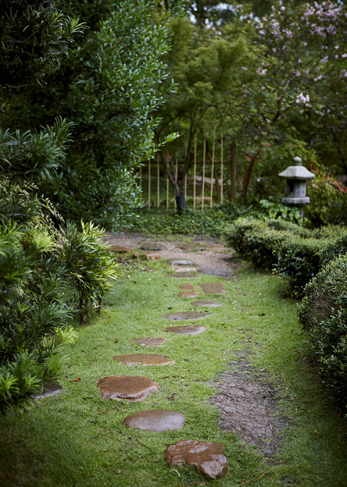 Japanese Gardens&hellip; My love for plants and all things beautiful took me to the Japanese Gar