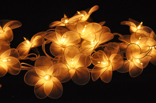 Delicate Flower String Lights