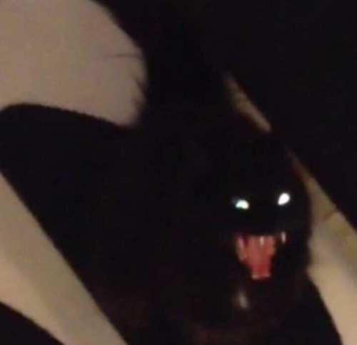 David: I Dont Like Myself.Winona: