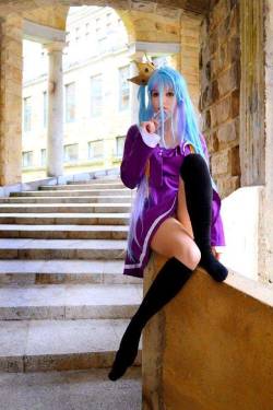 cosplaybeautys:Shiro from No Game no Life