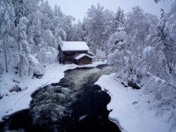 Suomi-Finland-Perkele:myllykoski, Pieni Karhunkierros Trail, Oulanka National Park