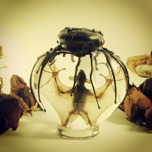cephalopodaparadoxa:  Preserved bats in heart shaped jars