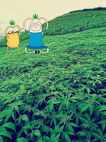 rrobeertaa:  cannabistime | via Facebook pe We Heart It http://weheartit.com/entry/59236734/via/1drinknoinferno