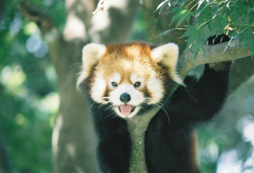 平川動物公園