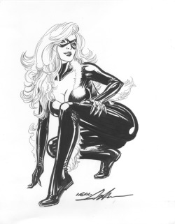 Romanadvoratrelundar:  Black Cat By Neal Adams