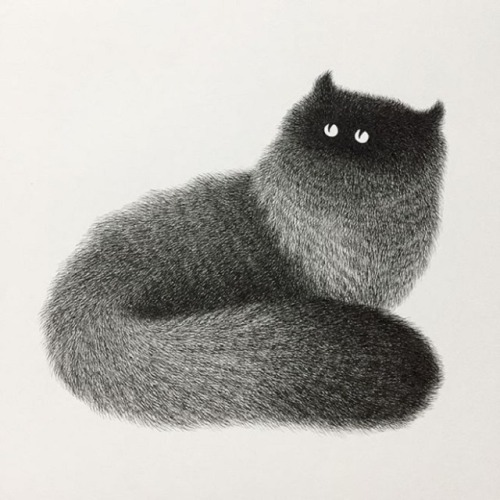 artisticmoods:A selection of very, very fluffy cats by Kamwei Fong, shared on the blog today: