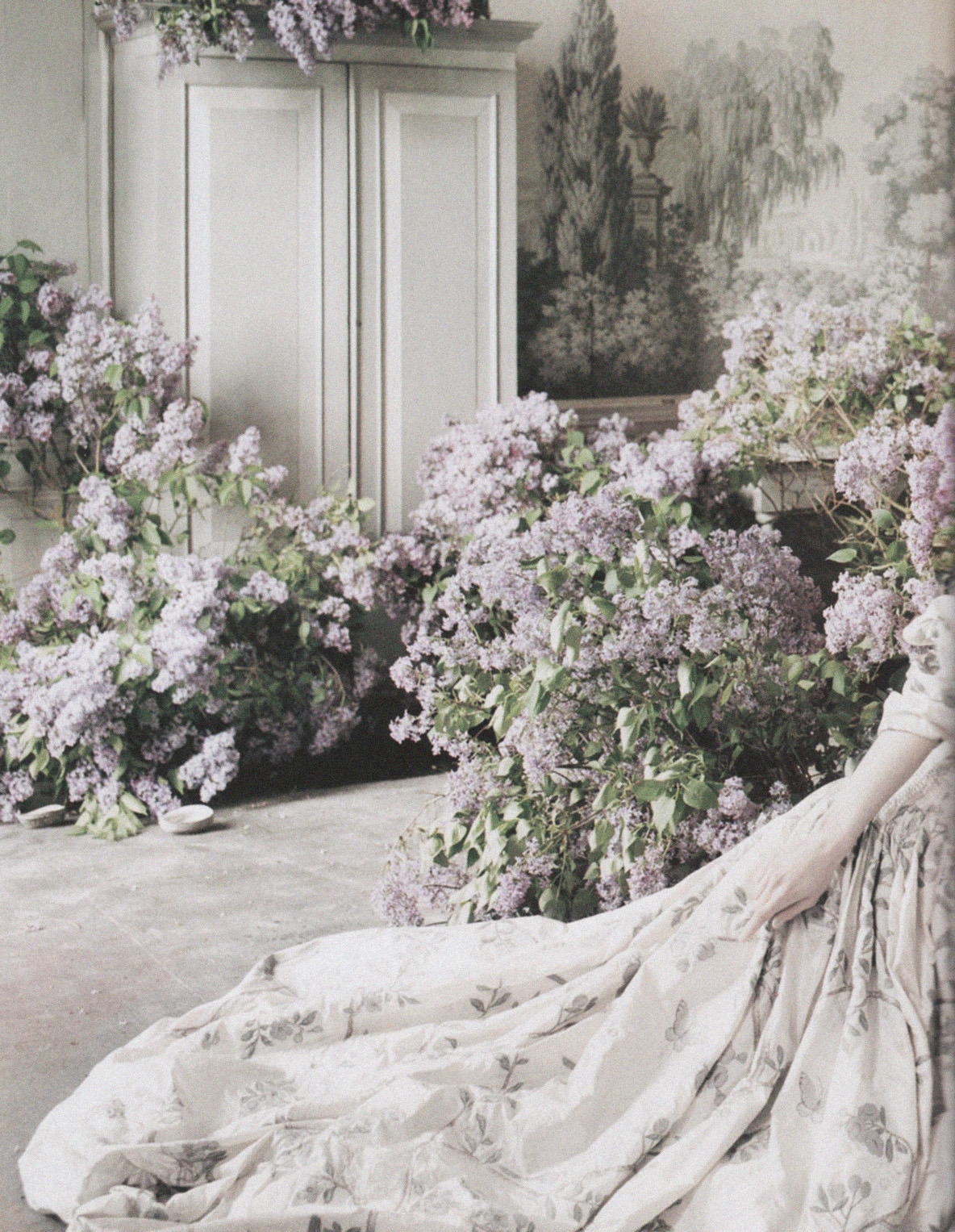 rosettes:  Among the freshly gathered lilacs, Guinevere wears Alexander McQueen’s