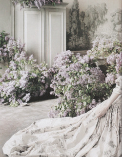 rosettes:  Among the freshly gathered lilacs, Guinevere wears Alexander McQueen’s fairytale couture gown and drifts in to a reverie. Guinevere Van Seenus in ‘England’s Dreaming’ shot by Tim Walker for Vogue UK August 2006 