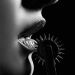 bluelady329:&ldquo;By the pricking of my thumbs, something wicked this way comes&rdquo;&hellip;-
