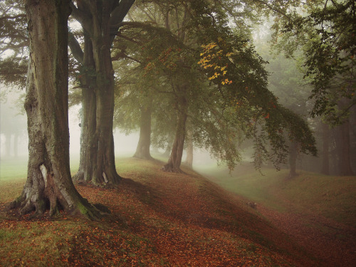 Autumn Centurions by KENNETH BARKER