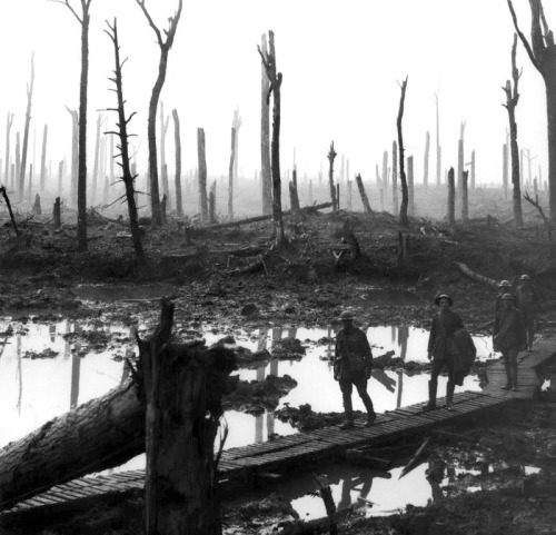 Soldiers of an Australian 4th Division field artillery brigade on a duckboard track passing through 