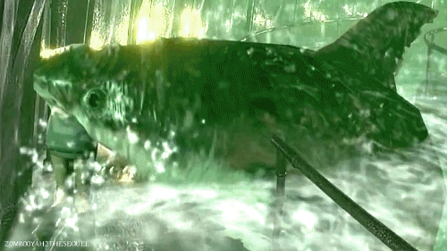 tumblr_ngux19V7mY1tdkro1o3_500.gif
