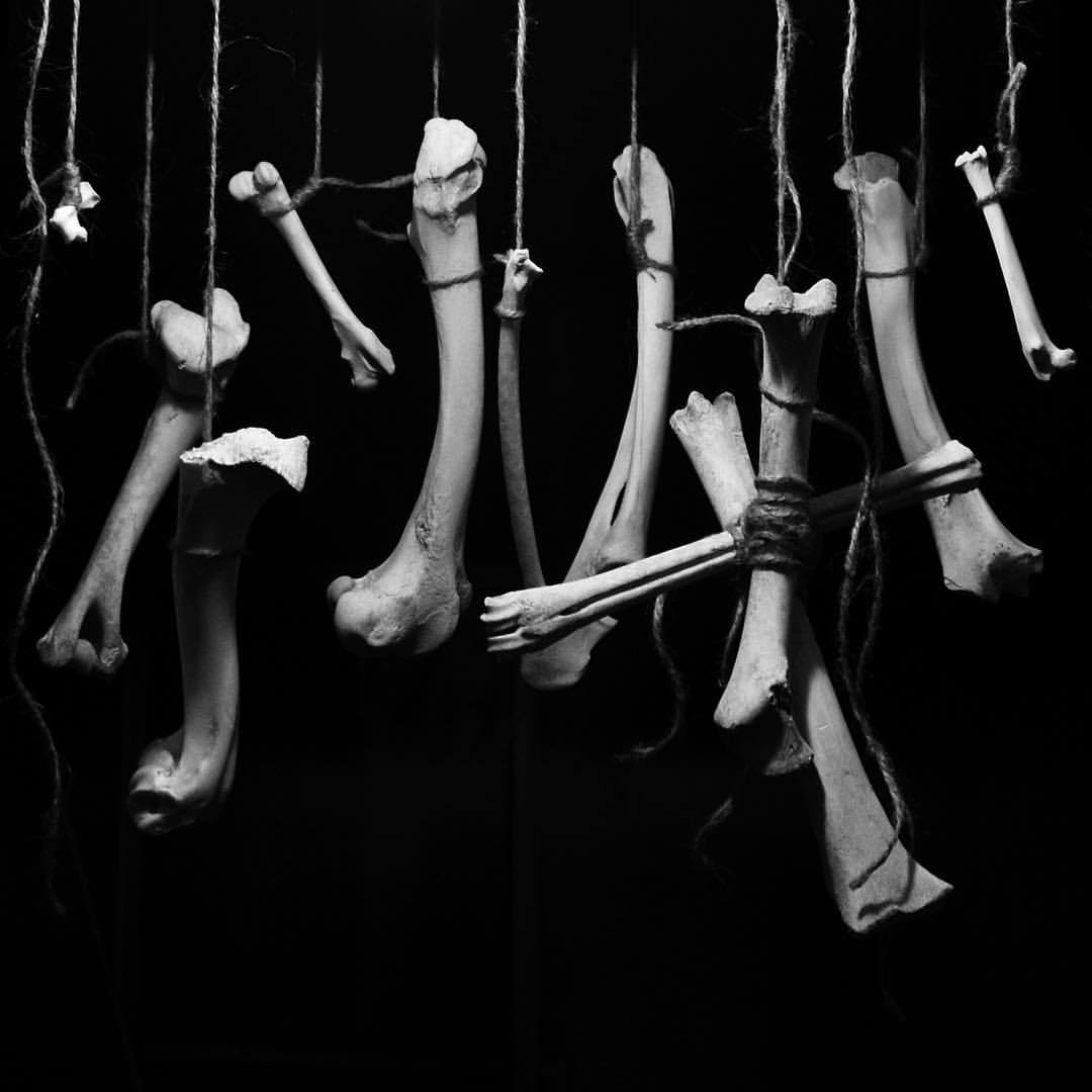 dylanxvx:  I could envision how I wanted to photograph these bones that I found in