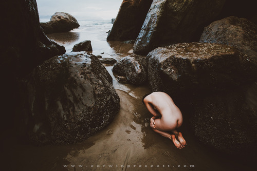 corwinprescott: “Where The Forest Meets The Sea”Oregon, USA 2015 CalendarCorwin Prescot