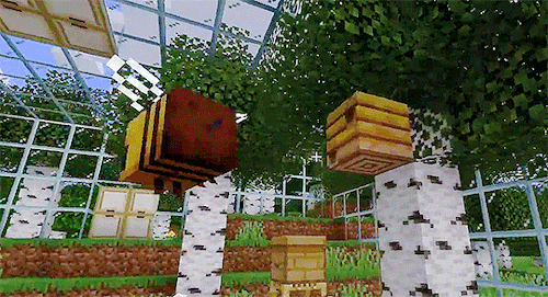 mahoippu: bees added to Minecraft in 1.15 !! (x)