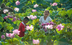 polychelles:  Children of the lotus farm by Sarawut Intarob 