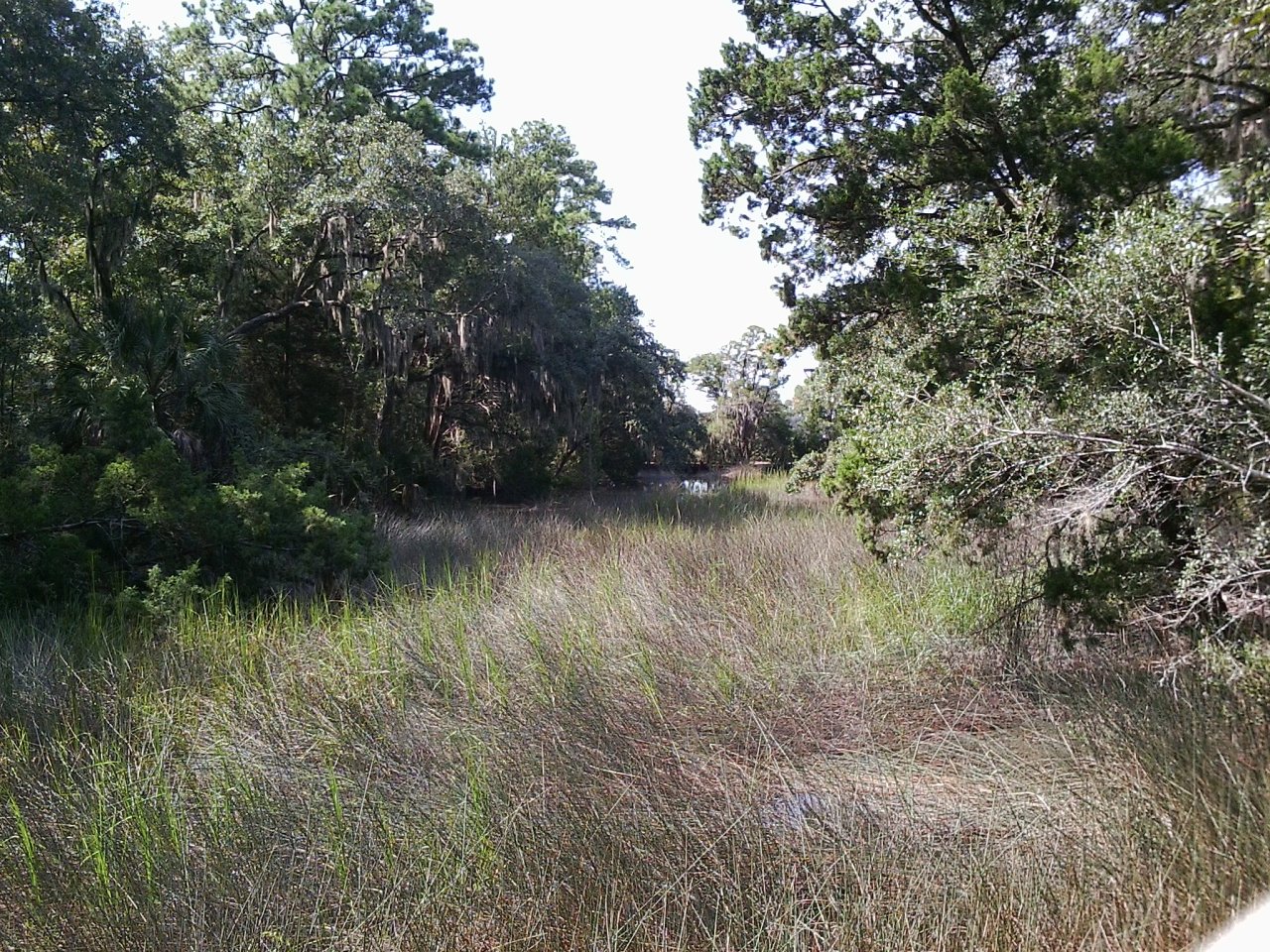 and here are some mostly animal shots from oatland island